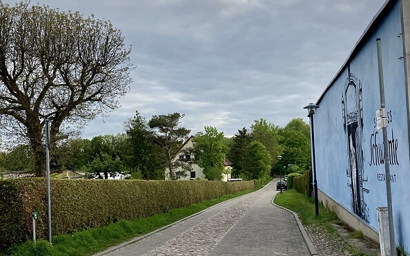 Zufahrt zum Schlossgut Schwante, Foto: Itta Olaj, Lizenz: Brandenburgische Seenplatte GmbH