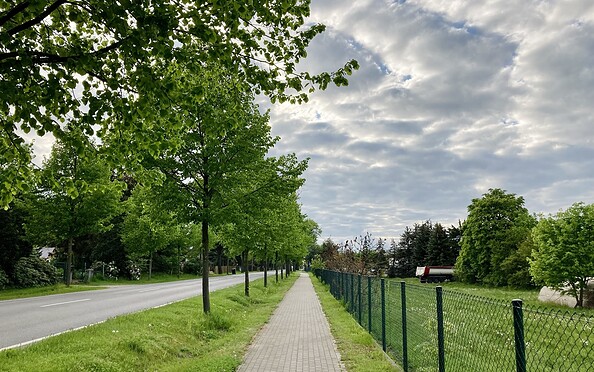 Radweg Amalienfelde, Foto: Itta Olaj, Lizenz: Brandenburgische Seenplatte GmbH