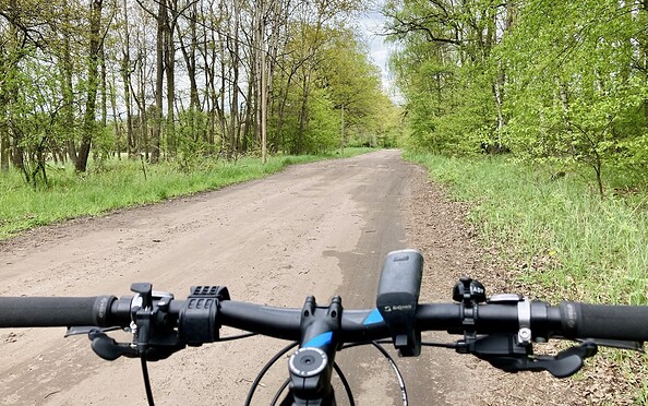 On the road on forest roads, Foto: Itta Olaj, Lizenz: Brandenburgische Seenplatte GmbH