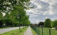 Amalienfelde cycle path, Foto: Itta Olaj, Lizenz: Brandenburgische Seenplatte GmbH