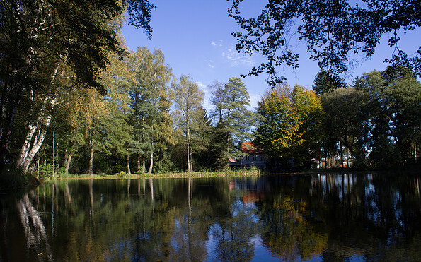 Mühlenteich am Bullenberger Bach, Foto: Bansen-Wittig