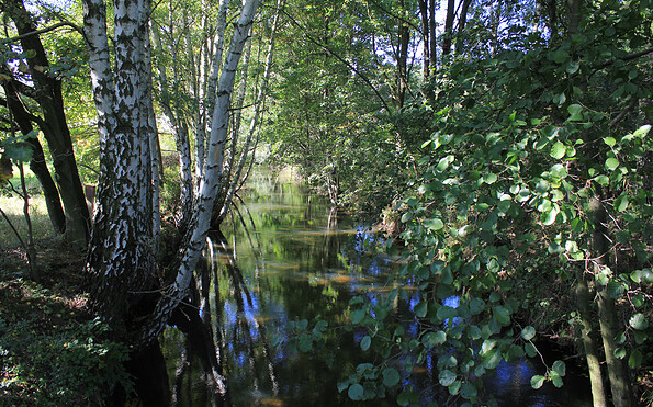 Am Bullenberger Bach, Foto: Bansen-Wittig