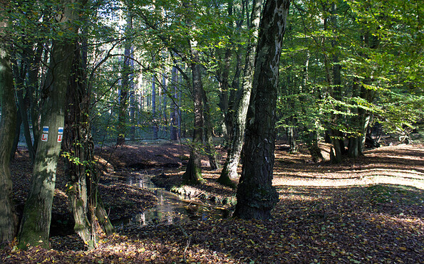 Baummarkierung für E11 und Burgenwanderweg, Foto: Bansen-Wittig