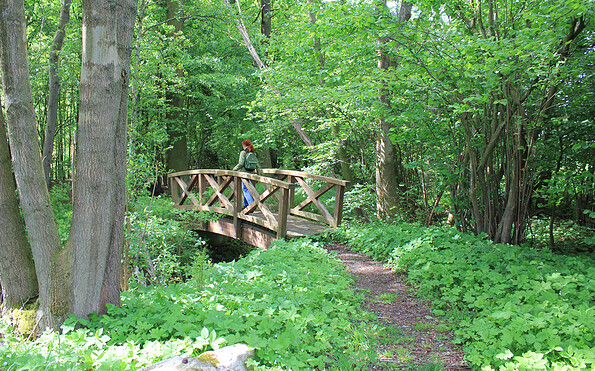 Brücke über den Klein Briesener Bach, Foto: Bansen-Wittig