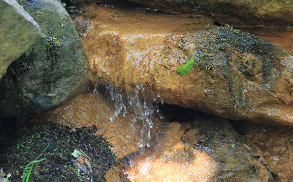 Artesischer Brunnen, Foto: Bansen-Wittig