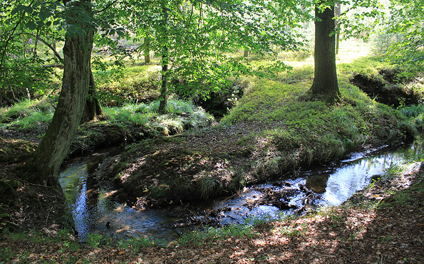 Schöner Wegeabschnitt: Entlang des Briesener Bachs, Foto: Bansen-Wittig