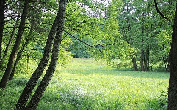 Im Planetal, Foto: Bansen-Wittig