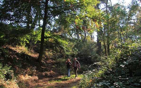In einem Seitenarm der Brautrummel, Foto: Bansen-Wittig