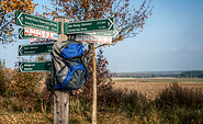 Wanderwegweiser zeigen, wo es lang geht, Foto: Jürgen Rocholl/FACE, Lizenz: Naturparkverein Hoher Fläming e.V.