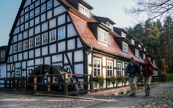 Springbachmühle, Foto: Jürgen Rocholl/FACE, Lizenz: Naturparkverein Hoher Fläming e.V.