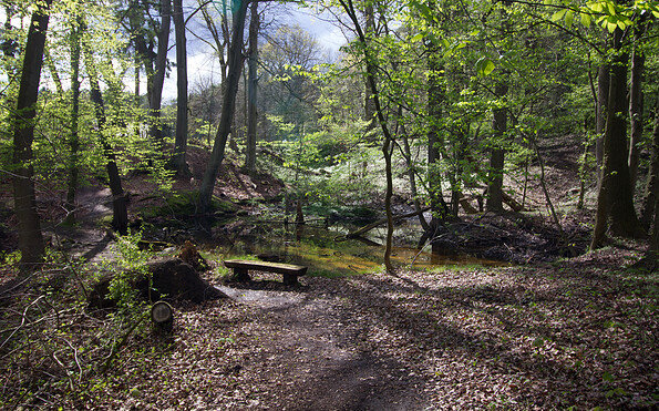 Im Paradies Dippmannsdorf, Foto: Bansen-Wittig