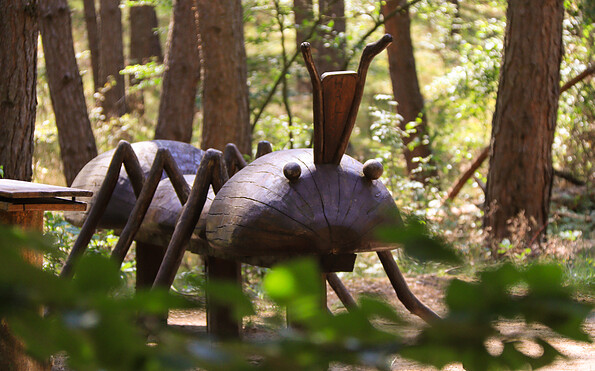 Ameise am Kindererlebnispfad Dippmannsdorf, Foto: Bansen-Wittig