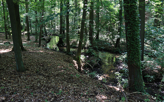 Zwischenziel: Dippmannsdorfer Paradies, Foto: Bansen-Wittig