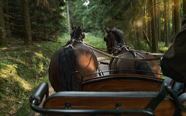 Pferdekutsche auf einem Waldweg, Foto: Tanja Esser , Lizenz: Tanja Esser