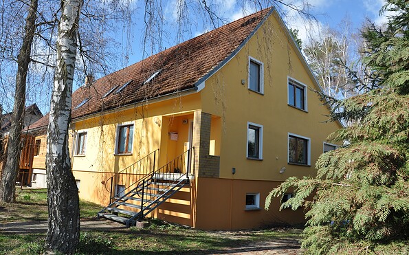 Buntspecht logis, outside view, Foto: Kena Hüsers, Lizenz: Kena Hüsers