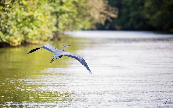 river Spree, Foto: Florian Läufer, Lizenz: Seenland Oder-Spree