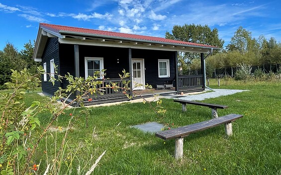 Ferienhaus-Haubentaucher, Foto: Marlies Wehnert, Lizenz: Marlies Wehnert