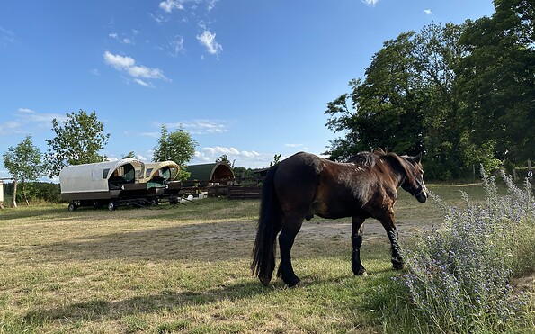 Auf dem Hof Liesje Trecking, Foto: Anet Hoppe, Lizenz: TMU GmbH