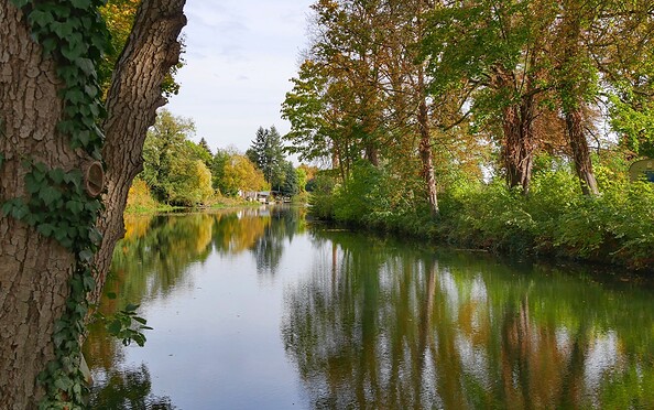 Madlitzer Lake, Foto: Angelika Laslo, Lizenz: Seenland Oder-Spree