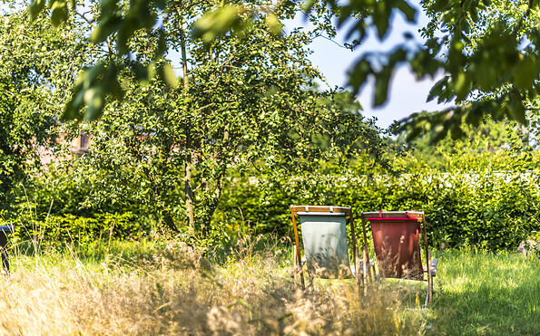 Garden, Foto: Tom Schweers, Lizenz: Herberge Pension Groß Fredenwalde