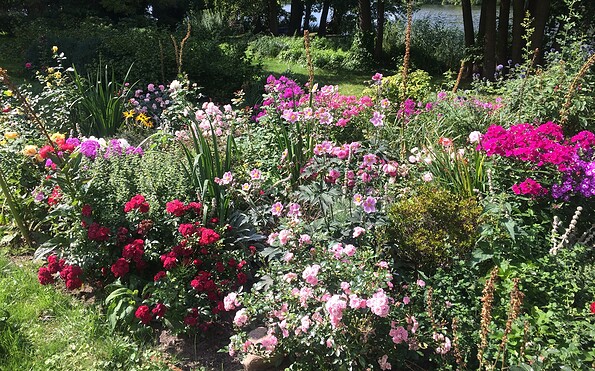 Blumenbeet, Foto: Günter Graumann
