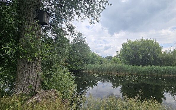 Friedrich-Wilhelm-Kanal, Foto: Dana Braun, Lizenz: Seenland Oder-Spree