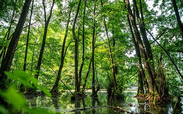 Wirchensee, Foto: KOPSCHproduction, Lizenz: KOPSCHproduction