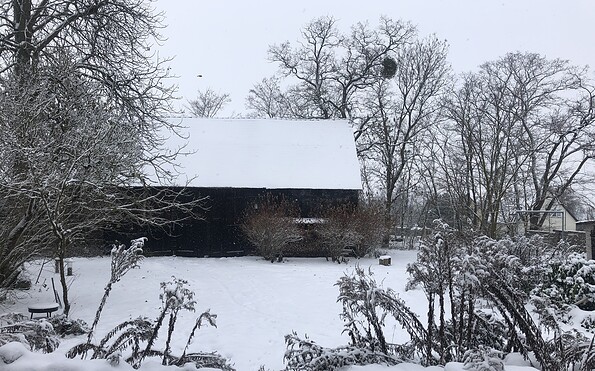 Hofgarten im Schnee, Foto: Christiane Lünskens