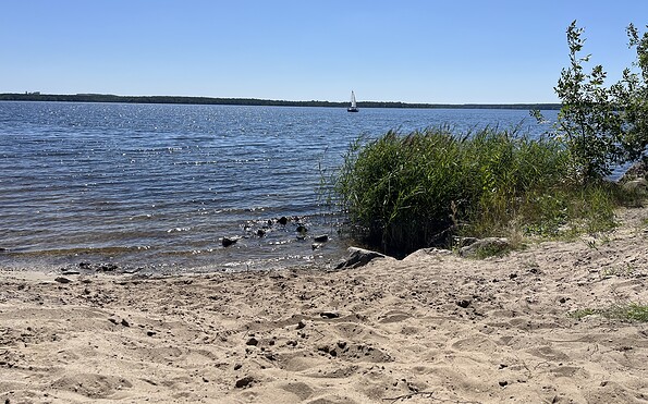 Strand am Geierswalder See, Foto: Celine Klose, Lizenz: Tourismusverband Lausitzer Seenland e.V.