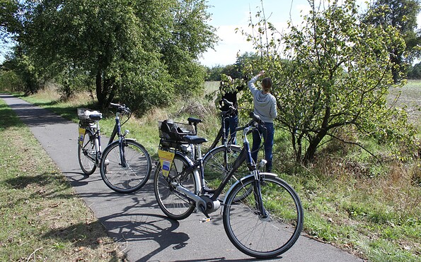 Stopover on the Oderbruch Railway Cycle Route, Foto: Steffen Lelewel, Lizenz: Seenland Oder-Spree