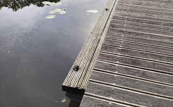 Steg für Kanuten, Foto: C.Nietsch, Lizenz: ZRF