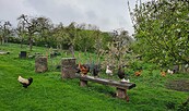 Naturbauernhof Gierke, Foto: Constanze Gierke, Lizenz: Constanze Gierke