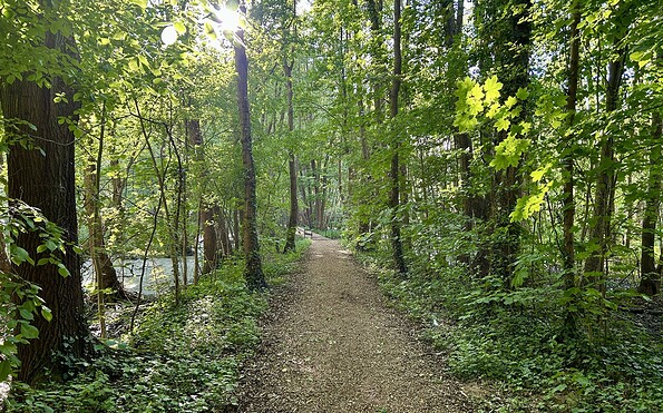 Scharwenkasteig, Foto: Tourismusverein Scharmützelsee e.V.