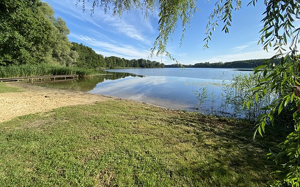 Badestelle Schifferhof Lanke des Oberuckersees, Foto: Alena Lampe, Lizenz: TMU GmbH