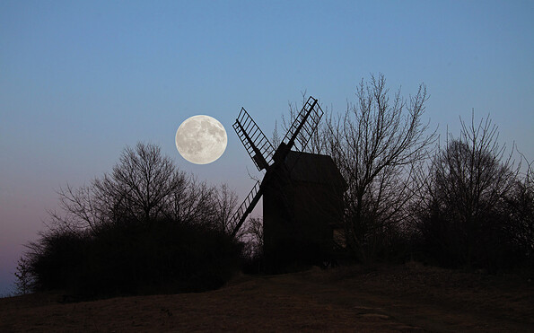 Vollmond über der Bockwindmühle Borne, Foto: Dirk Fröhlich, Lizenz: Naturparkverein Hoher Fläming e.V.