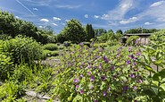 Klosterkräutergarten Himmeoaffen Lehmann, Foto: Steffen Lehmann