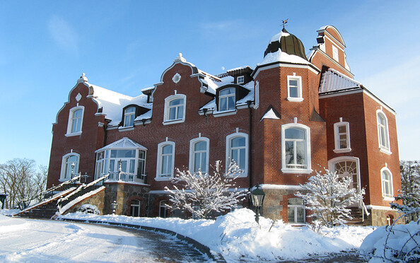 The castle in winter