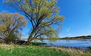 Oder bei Ratzdorf, Foto: Besucherinformation Amt Neuzelle