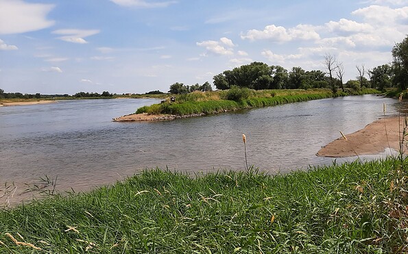 Oder-Neiße-Mündung, Foto: Besucherinformation Amt Neuzelle