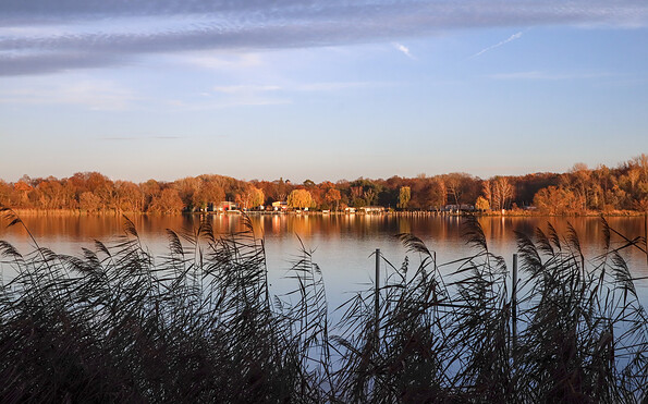 Sonnenuntergang auf Hermannswerder, Foto: Sophie Soike, Lizenz: PMSG