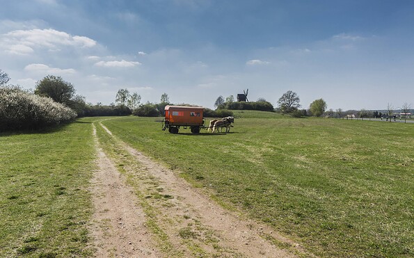 Pferdekutsche an der Bockwindmühle in Borne, Foto: Steffen Lehmann, Lizenz: TMB-Fotoarchiv