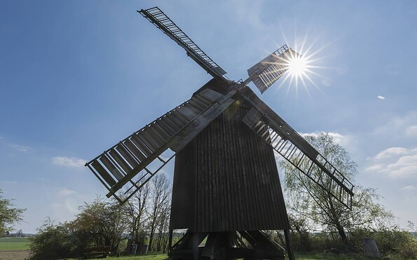 Bockwindmühle in Borne, Foto: Steffen Lehmann, Lizenz: TMB-Fotoarchiv