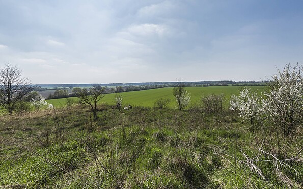 Aussicht vom Hagelberg, Foto: Steffen Lehmann, Lizenz: TMB-Fotoarchiv