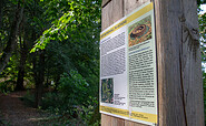 Infotafel zum Burgwall in Görzke, Foto: ScottyScout, Lizenz: TMB-Fotoarchiv