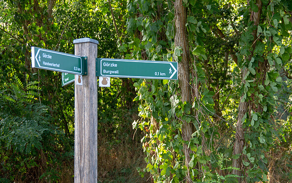 Wanderweg auf dem Burgwall, Foto: ScottyScout, Lizenz: TMB-Fotoarchiv
