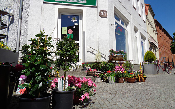 Creative Blumenträume, Foto: Bansen-Wittig