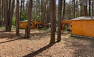 Holiday homes surrounded by pine forest, Foto: Malachinski Lydia &amp; Waldemar GbR, Lizenz: Malachinski Lydia &amp; Waldemar GbR