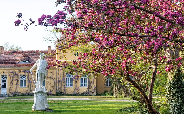 Marlygarten im Park Sanssouci, Foto: André Stiebitz, Lizenz: PMSG SPSG