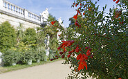Sizilianischer Garten im Park Sanssouci, Foto: André Stiebitz, Lizenz: PMSG SPSG