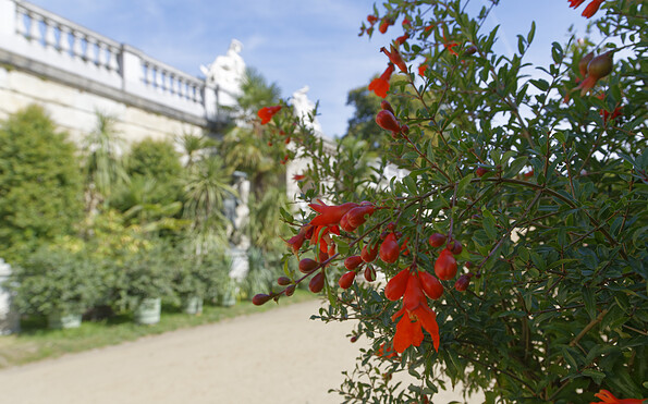 Sizilianischer Garten im Park Sanssouci, Foto: André Stiebitz, Lizenz: PMSG SPSG